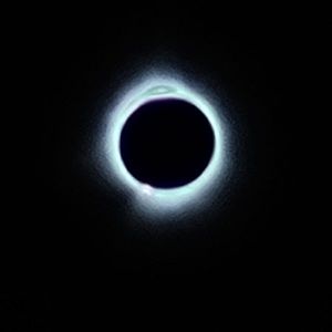 Meet your Posher, Ken